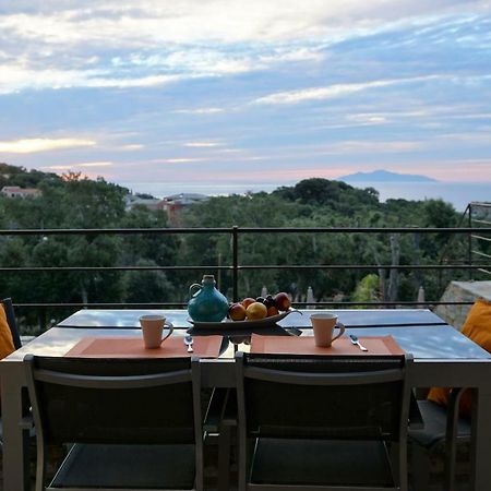 Suites In Erbalunga Ербалунґа Екстер'єр фото